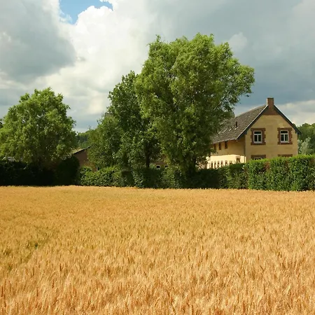 Lovely In With Forest Nearby *