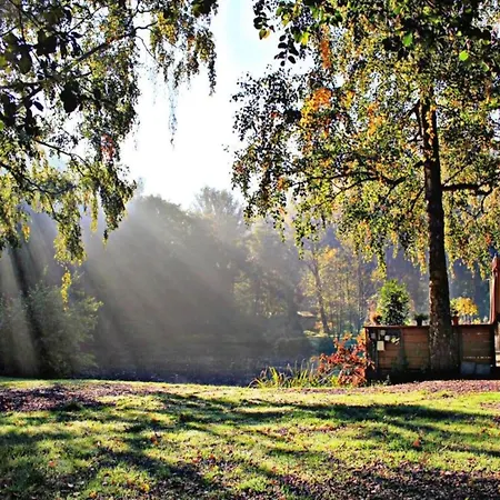Lovely In With Forest Nearby * Wijlre