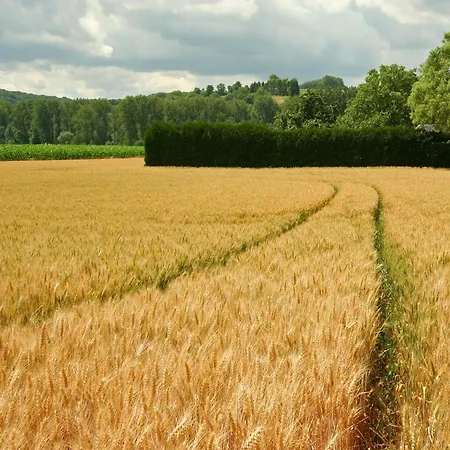 Lovely In With Forest Nearby Wijlre