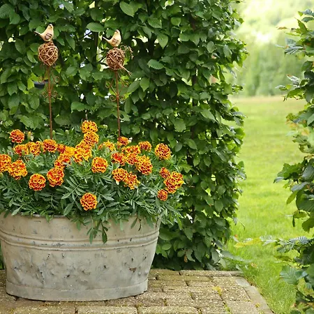 בית נופש Lovely In With Forest Nearby Wijlre