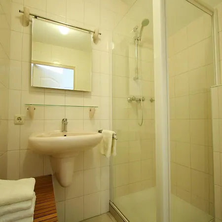 Lovely In With Forest Nearby