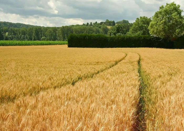 Lovely In With Forest Nearby Wijlre