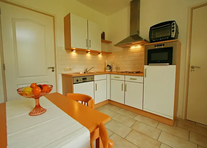 Lovely In With Forest Nearby