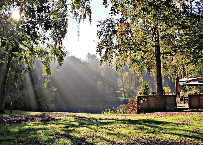 Lovely In With Forest Nearby Сasa de vacaciones *