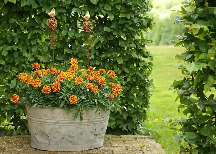 Сasa de vacaciones Lovely In With Forest Nearby Wijlre