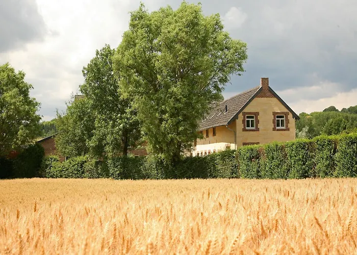 Lovely In With Forest Nearby