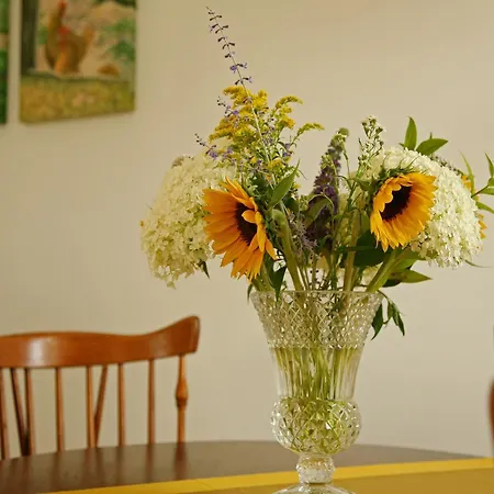 Casa vacanze Lovely In With Forest Nearby Wijlre