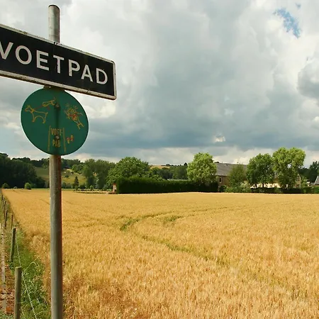 Lovely In With Forest Nearby Wijlre