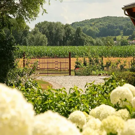 Lovely In With Forest Nearby Casa vacanze Wijlre